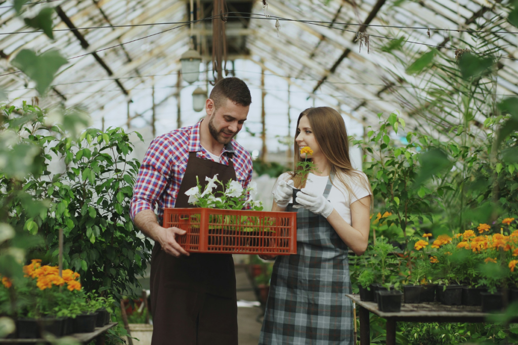 How Same Day And Express Flower Delivery Works Across The UAE and Dubai