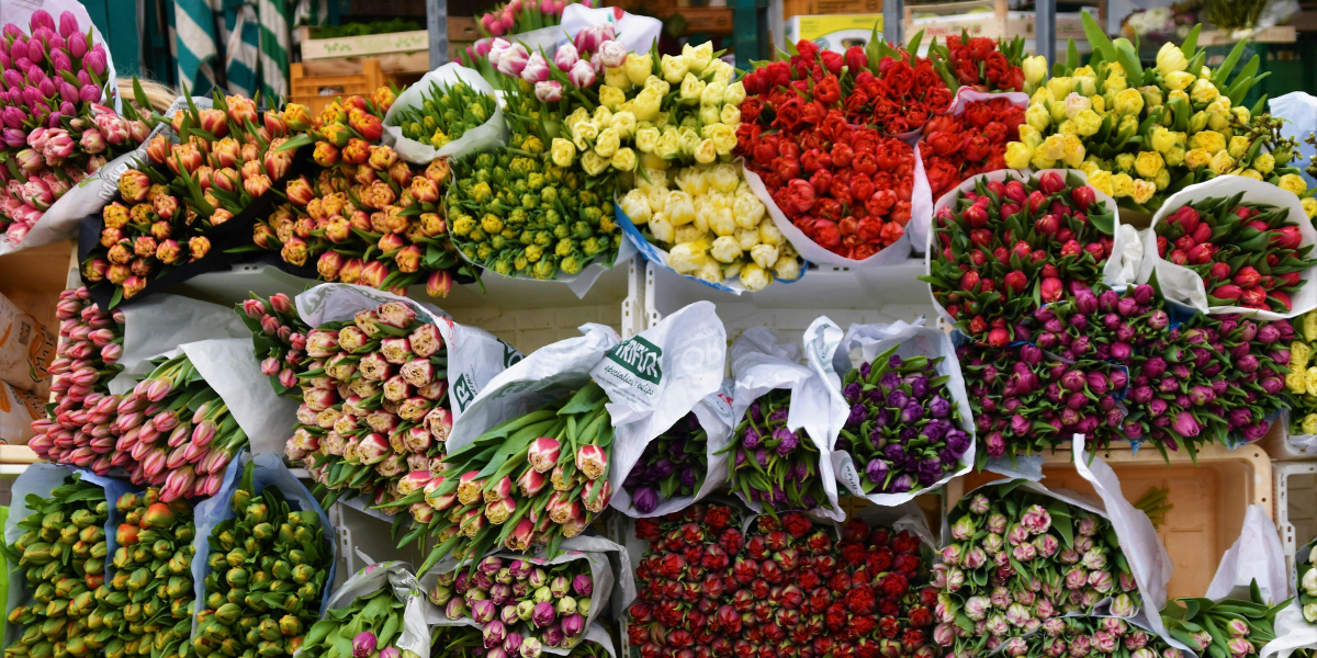 How Same Day And Express Flower Delivery Works Across The UAE