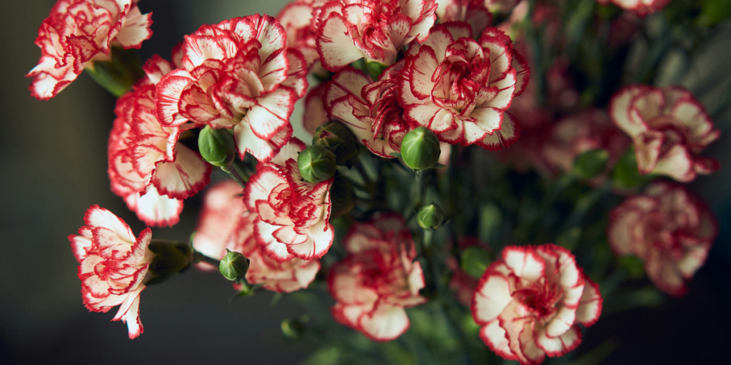 Top 10 Budget Friendly Flower Arrangements To Send In Dubai