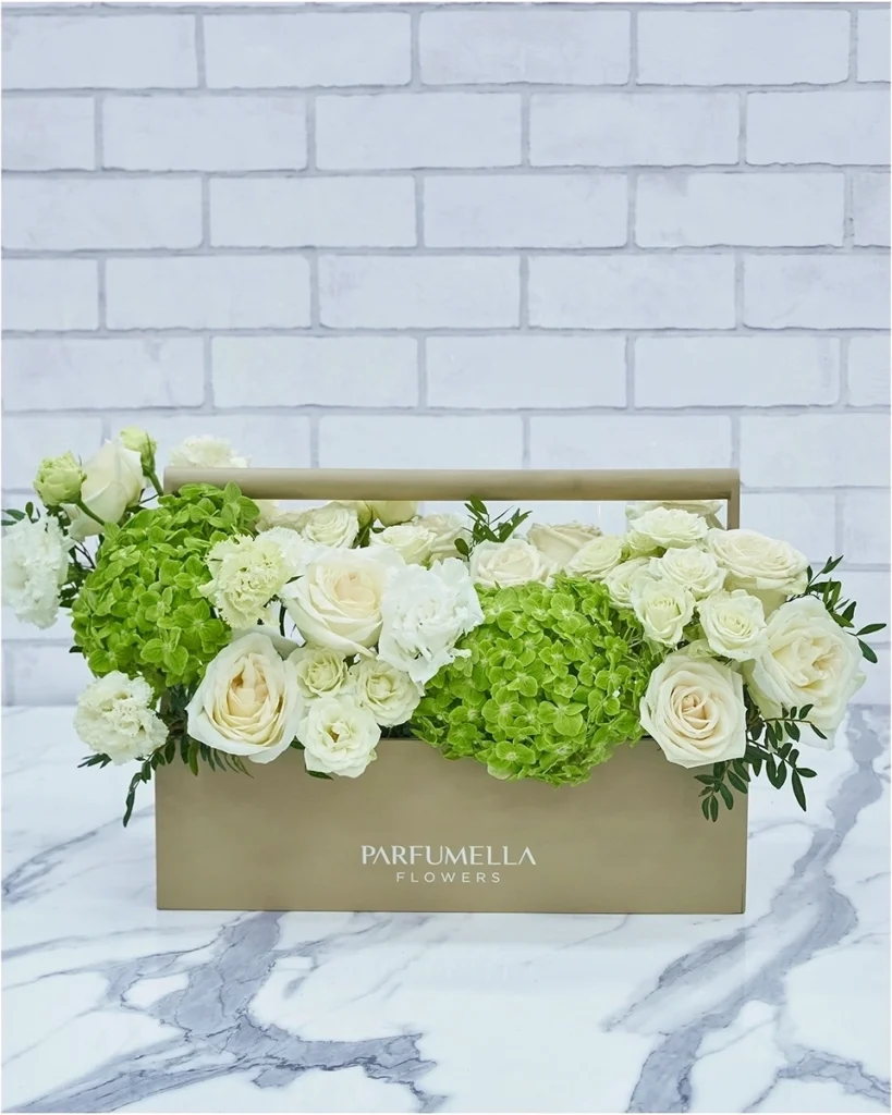 Box of Serenity 01 Without Topper