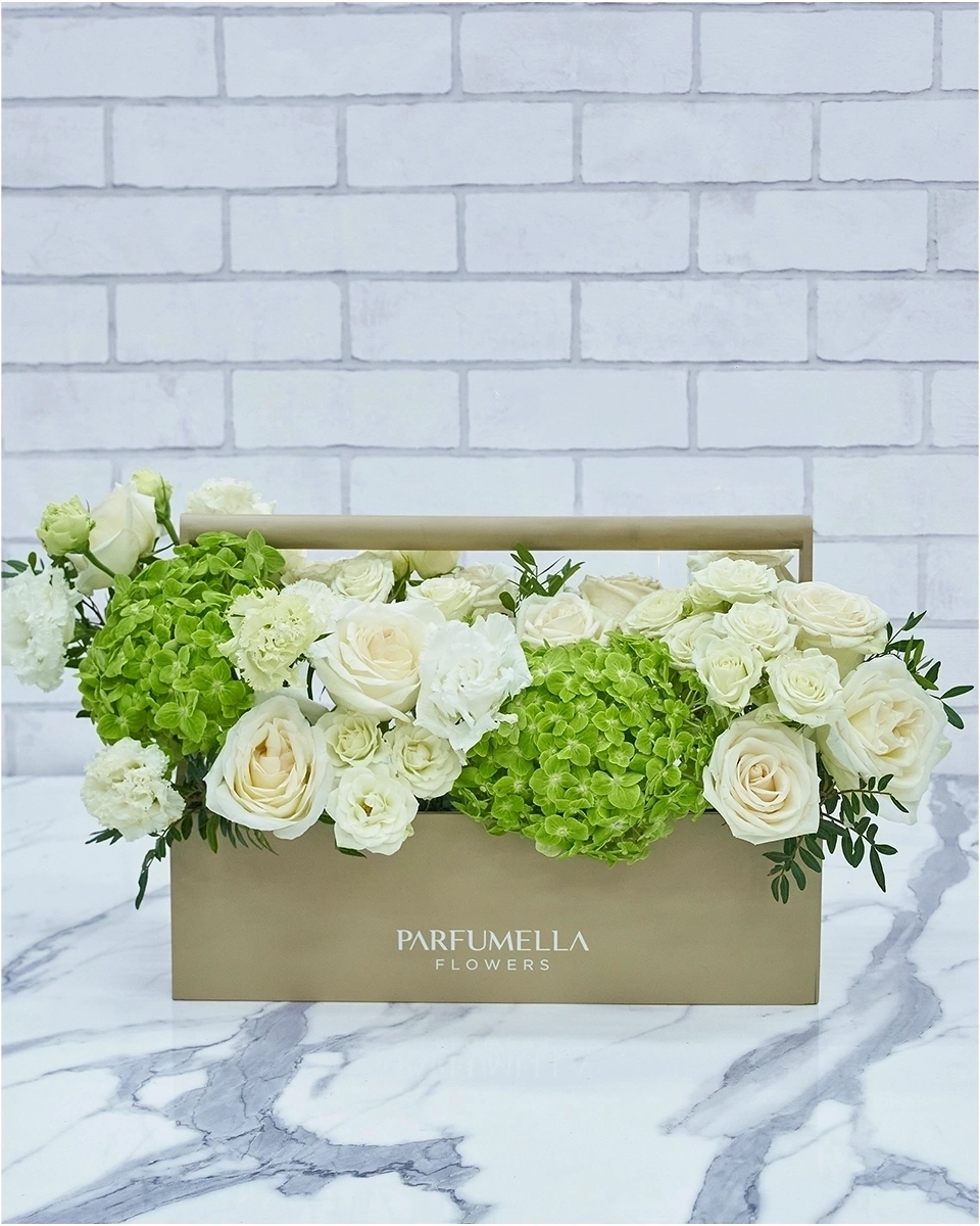 Box of Serenity 01 Without Topper