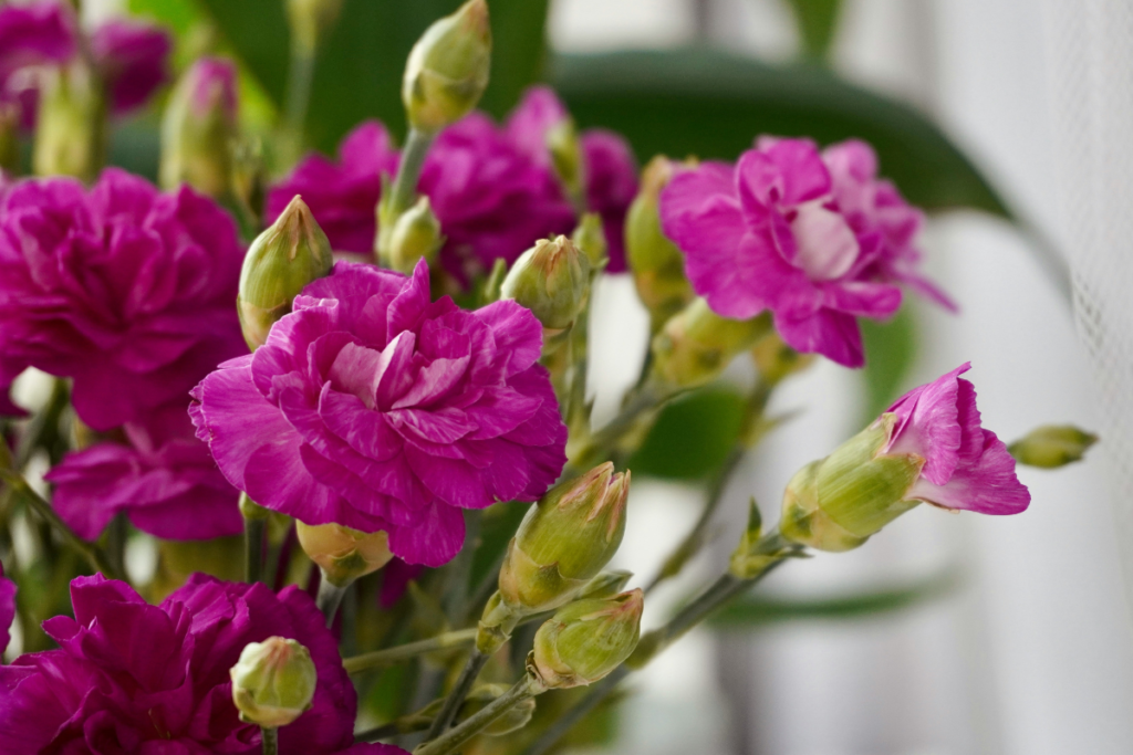 Minimalist Florist Arrangement That Look Luxurious On A Budget Dubai