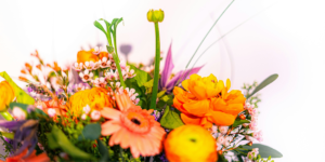 Top 5 Flower Boxes Under AED 300 That Will Impress Anyone