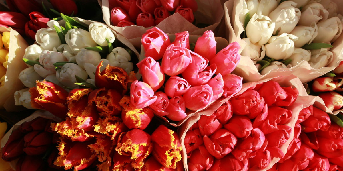 Flower Gift ideas By Price Range AED 50 to 500 For All Occasion
