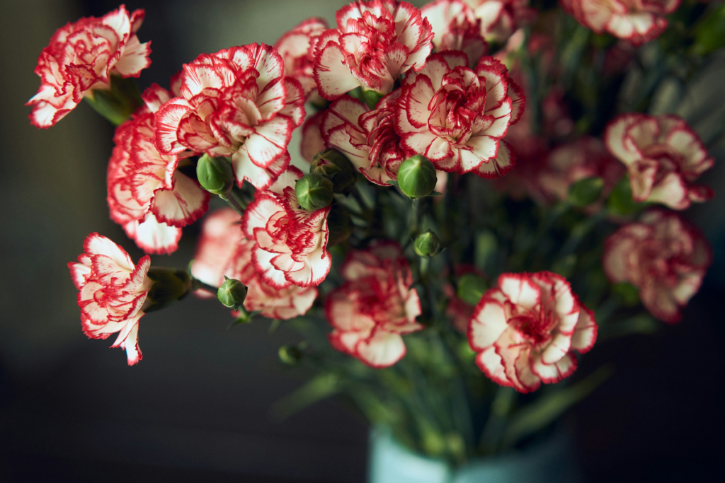 Mother’s Day In The UAE Budget Friendly Bouquets To Send Abu Dhabi