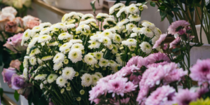 Top 07 Budget Flowers In The UAE, Under 150 Dirhams For Everyday Gifting