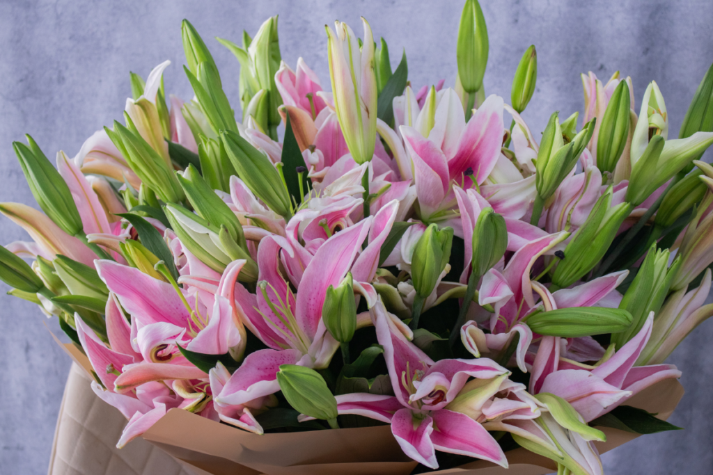 Top 07 Budget Flowers In The UAE, Under 150 Dirhams For Everyday Gifting Sharjah