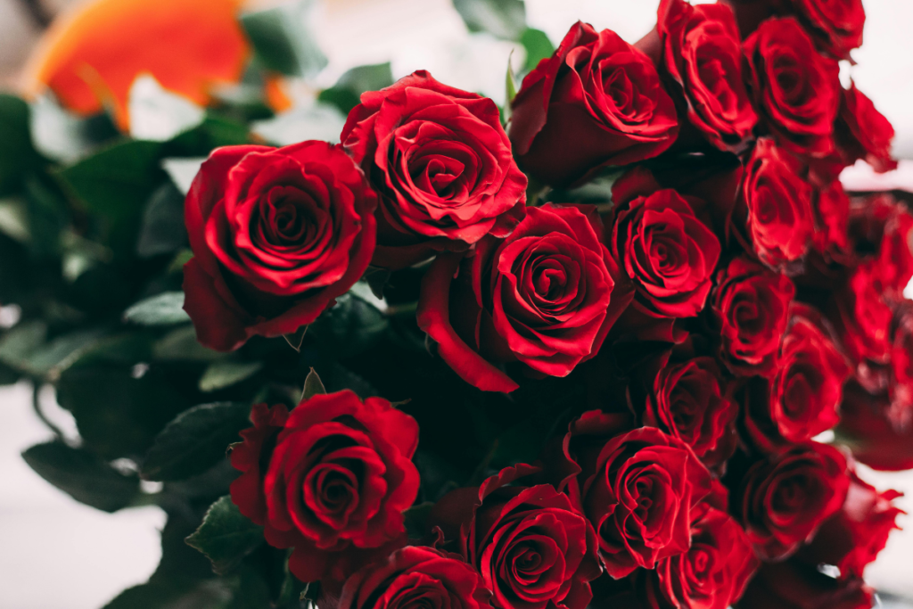 Top 07 Budget Flowers In The UAE, Under 150 Dirhams For Everyday Gifting UAE