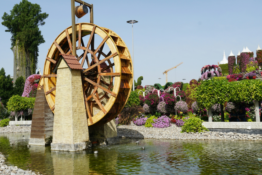 How To Choose Fresh Affordable Flowers That Last Longer In The UAE Climate Miracle Gardens