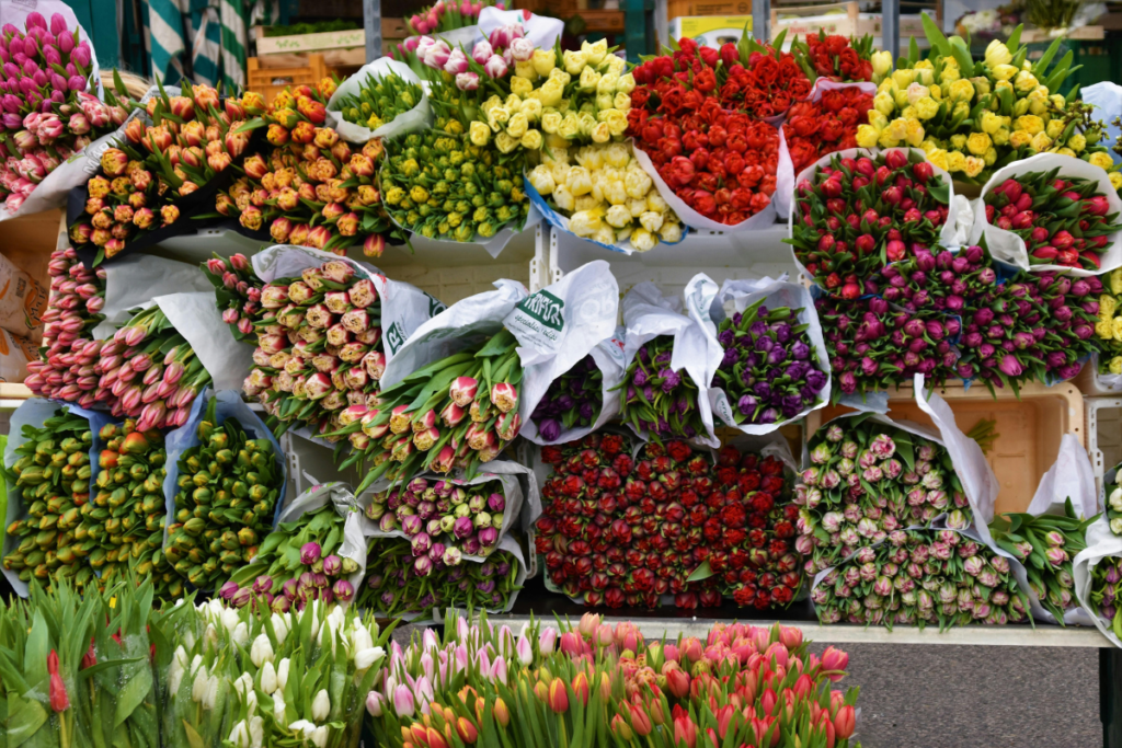 How To Order Flowers From Abroad And Deliver In The UAE Without Overspending Ajman