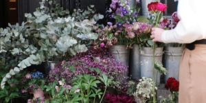 How To Pick Long Lasting Flowers For Your Home On A Budget