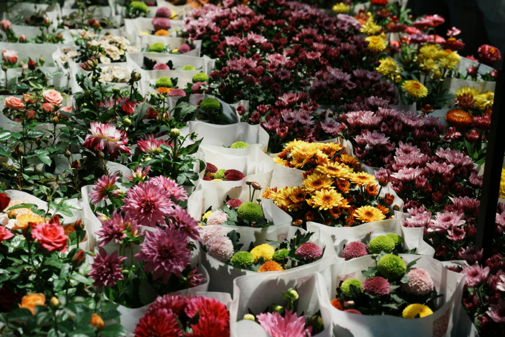 How To Pick Long Lasting Flowers For Your Home On A Budget UAE Ajman