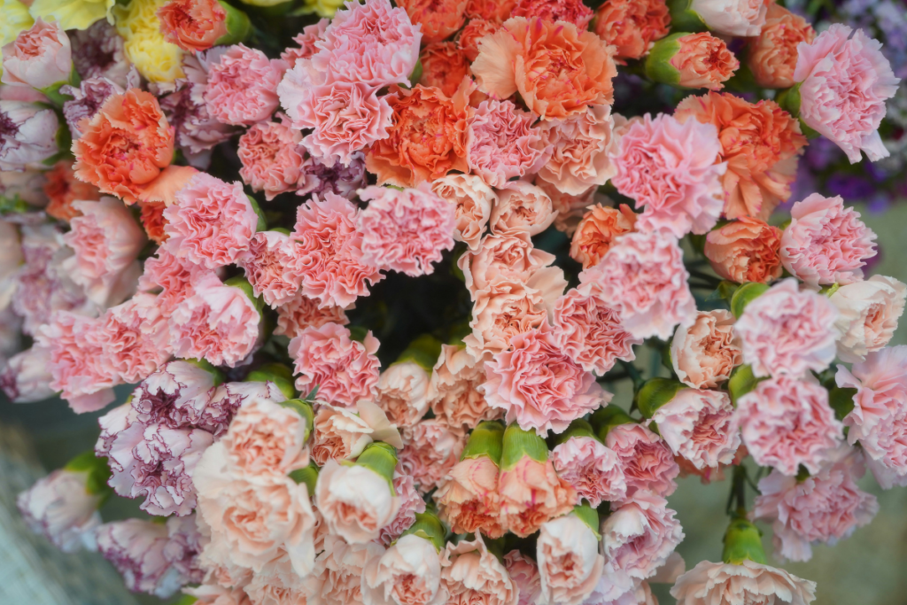 How To Pick Long Lasting Flowers For Your Home On A Budget UAE Sharjah