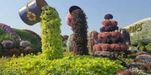 Top 05 Popular Flowers In Dubai And What They Symbolize