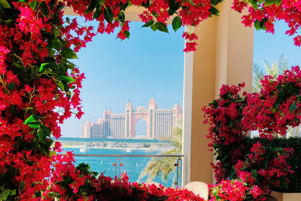 Top 05 Popular Flowers In Dubai And What They Symbolize UAE