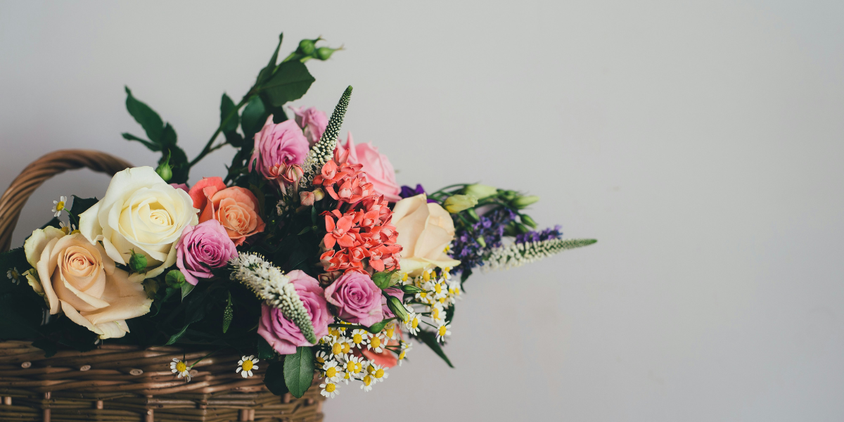 Thoughtful Housewarming Gift Ideas That Never Fail