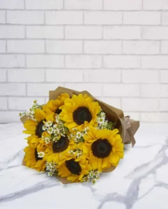 Cheers for Sunflower
