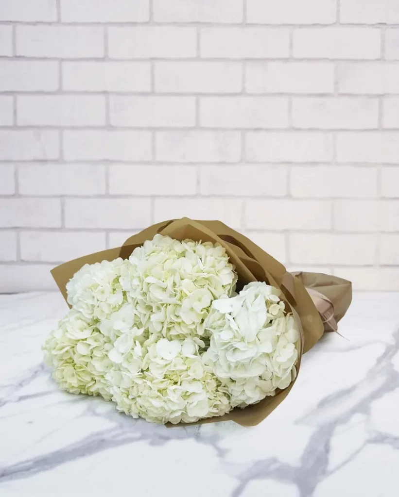 Cloud Nine Beige Wrap