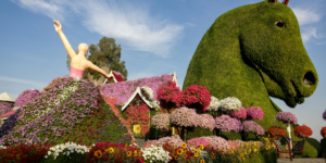 Guide to Seasonal Affordable Flowers in the Emirates Spring, Summer, Fall, Winter