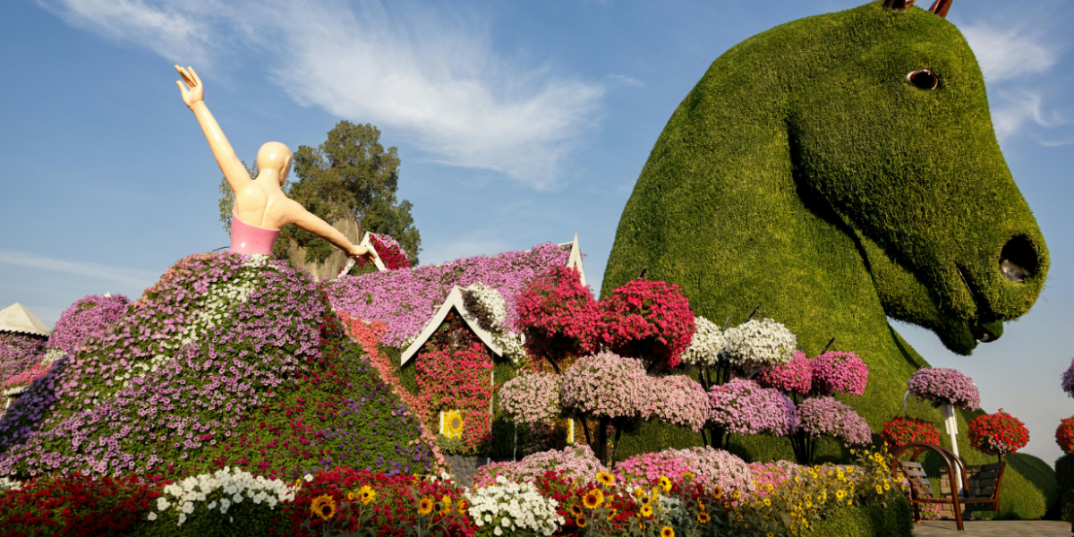 Guide to Seasonal Affordable Flowers in the Emirates Spring, Summer, Fall, Winter