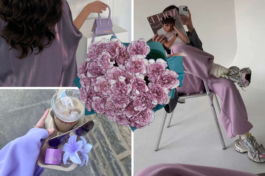 The Aesthetic Curator