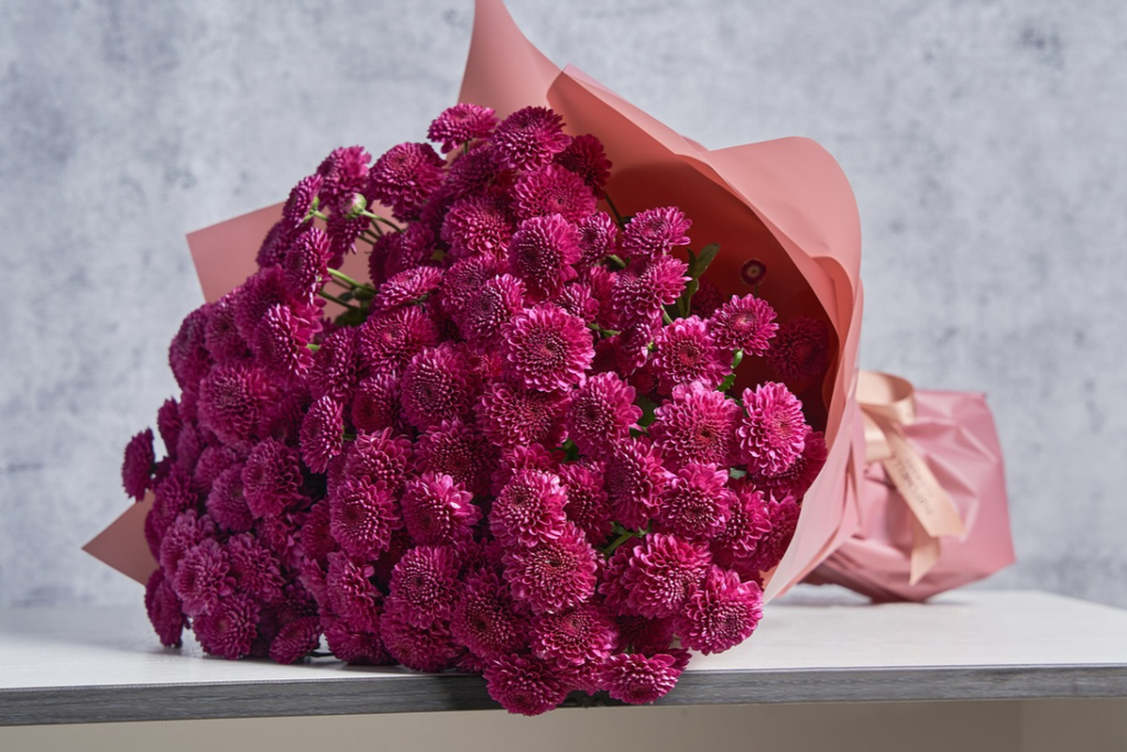 Beyond Roses Affordable Flower Alternatives for Every Occasion in Dubai Carnations
